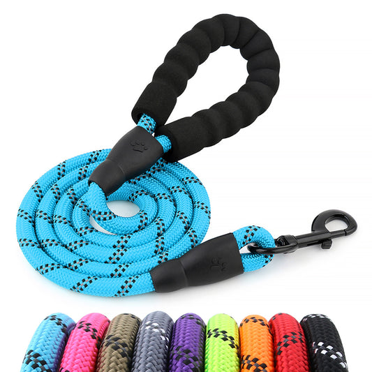 Braided Dog Leash